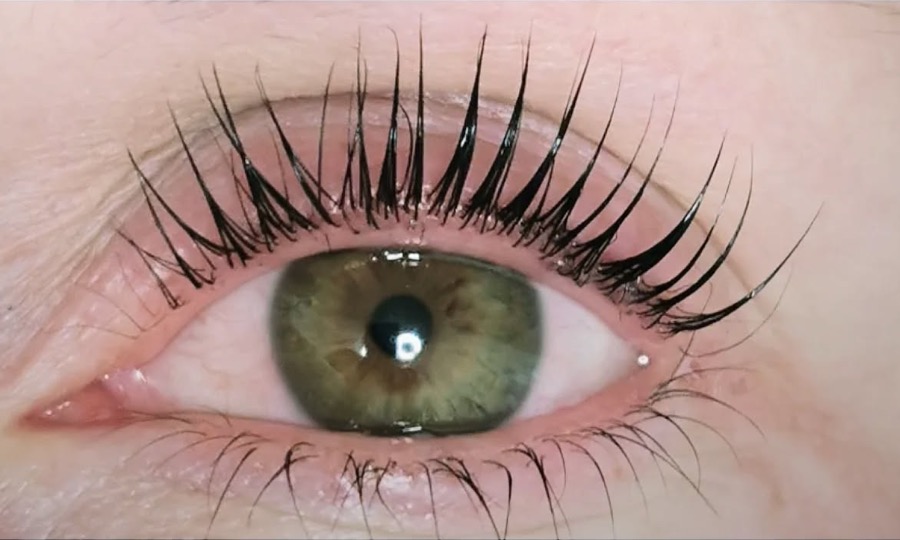 Œil vert aux cils recourbés et teintés en noir après un rehaussement et une teinture