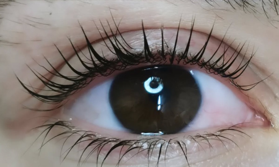Œil brun aux cils recourbés après un rehaussement de cils